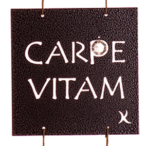 Carpe Vitam