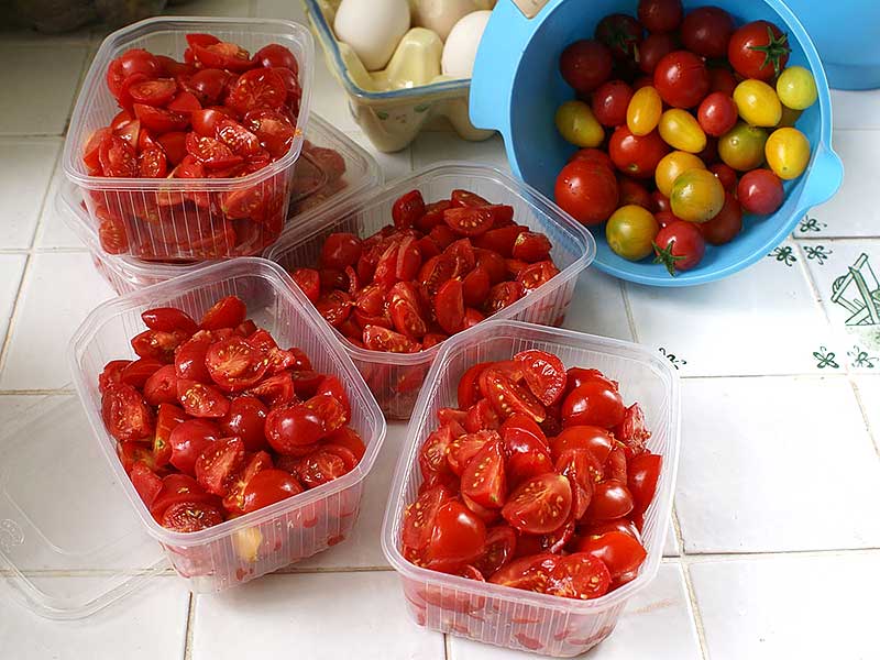 Nyskördade tomater förberedda för att frysas in