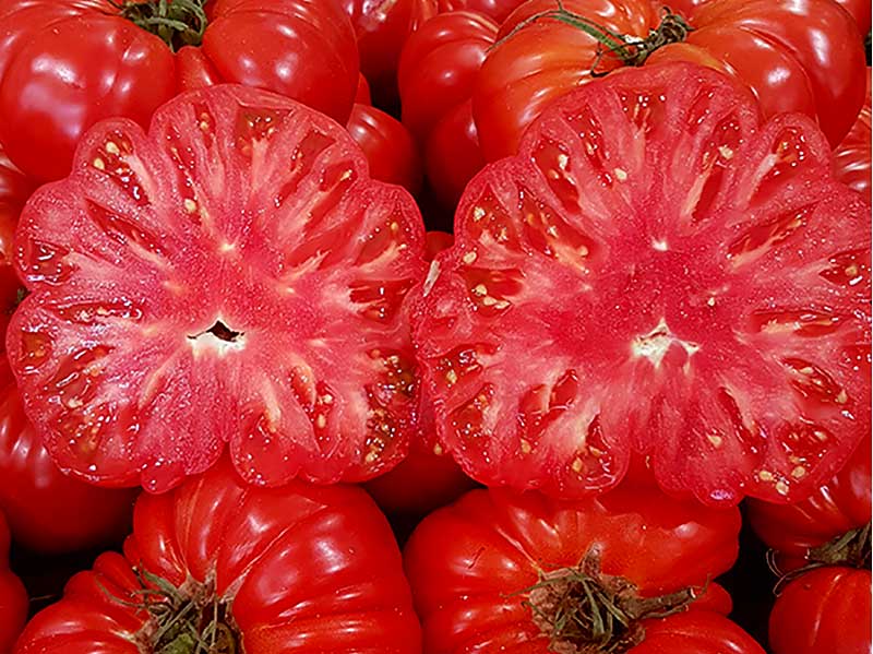 fro-till-tomater.jpg