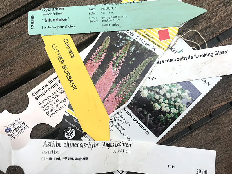 Etiketter på växter i plantskolan