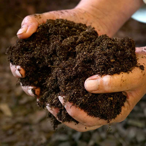 Jord, odlingskuber och substrat för odling