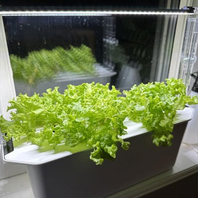 System för odling inomhus