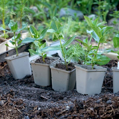 Planeringskrukor -odlingssäckar - pallkragar