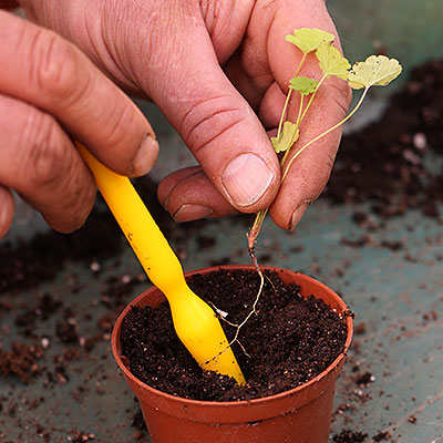 Tillbehör för frösådd och lökplantering