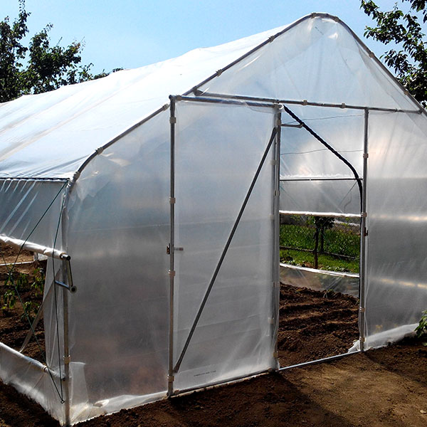 Tunnelväxthus och bågväxthus för hobbyodling