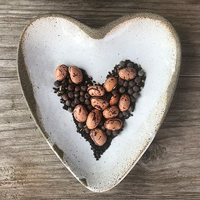 Ekologiska fröer till ätbart och blommor