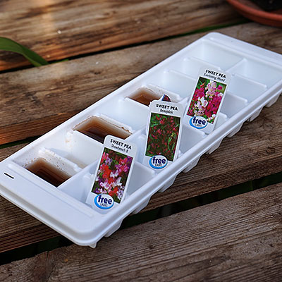 Tillbehör för frösådd och odling