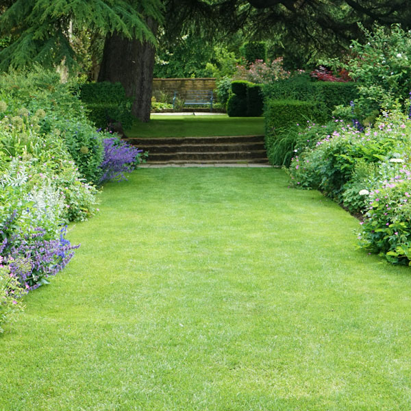 Gräsgång mellan rabatter