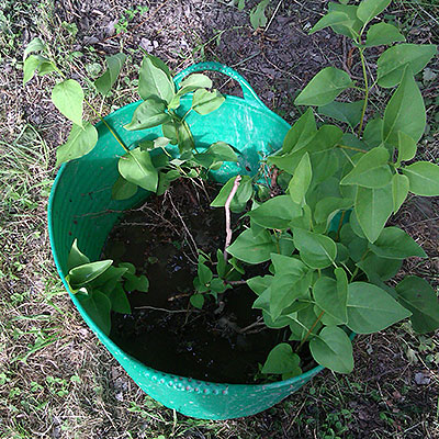 Hinkar, behållare och korgar för trädgården