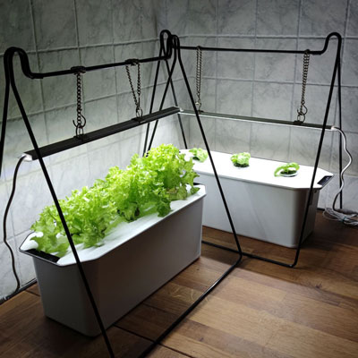 Hydrokultur och vattenodling, hydroponisk odling