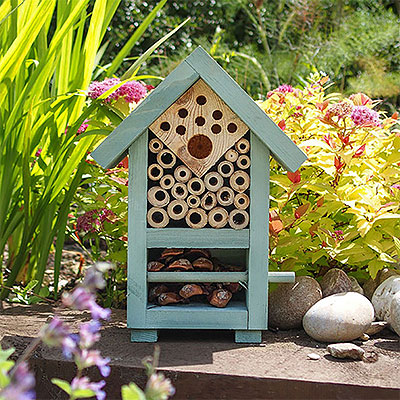 Insektshotell och insektsholkar