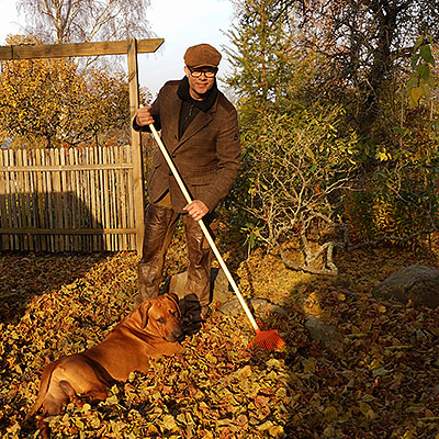 Krattor och räfsor för effektivt trädgårdsarbete