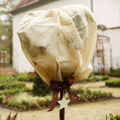 Kronskydd och huvor för vinterskydd av växter