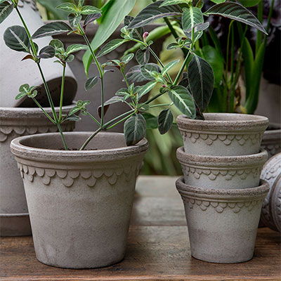 Krukor från Berghs Potter