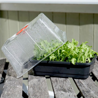 Miniväxthus och odlingslådor med lock