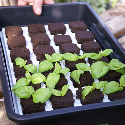 Rotningskuber och odlingsbriketter