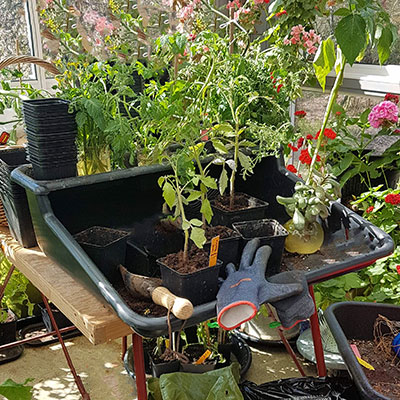 Planteringsbord för omplantering av växter