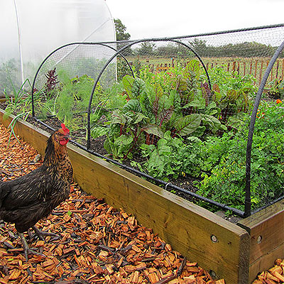 Växtskydd och barriärer mot ohyra och skadegörare