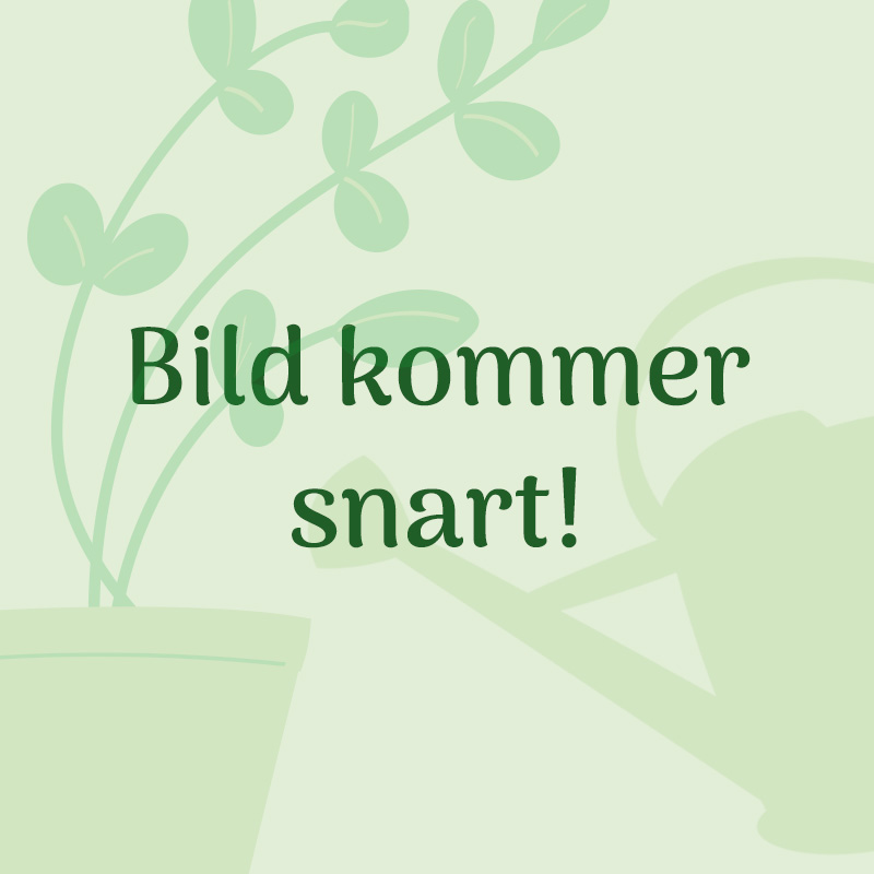 Slangkopplingar och bevattningspumpar