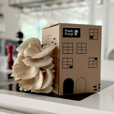 Savmpdling inomhus i box