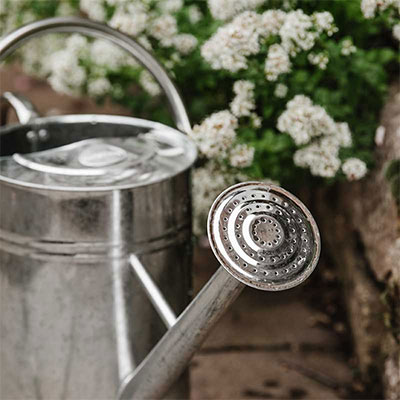 Vattenkannor för användning utomhus och inomhus