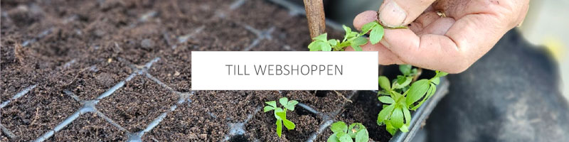 till webshoppen