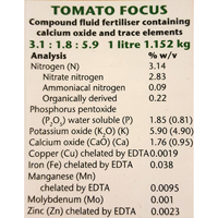 focus tomato app