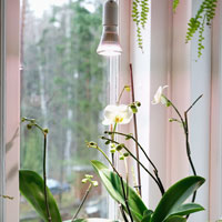 Växtlampa för tillskottsljus