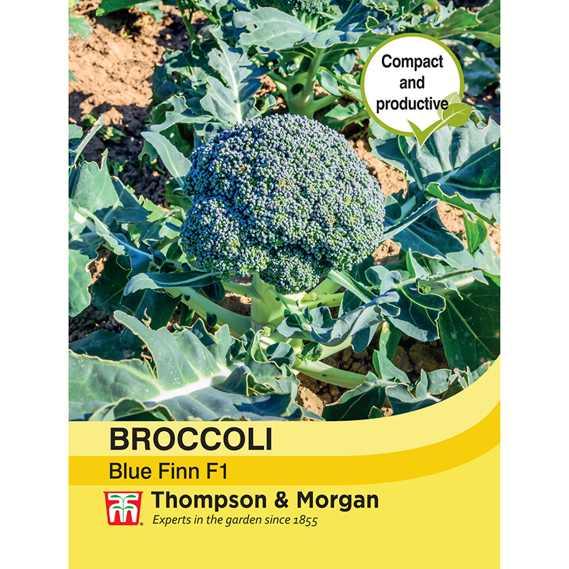 Thompson & Morgan Broccoli ’Blue Finn’ F1