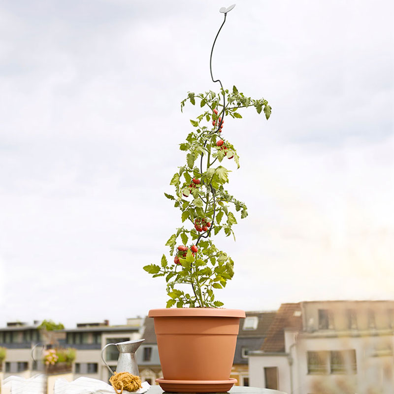 Växtstöd My City Garden 9×153 cm antracit