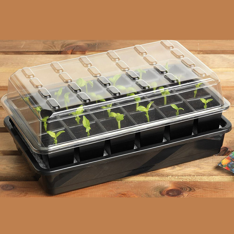Seed Success miniväxthus med bevattning 24 celler