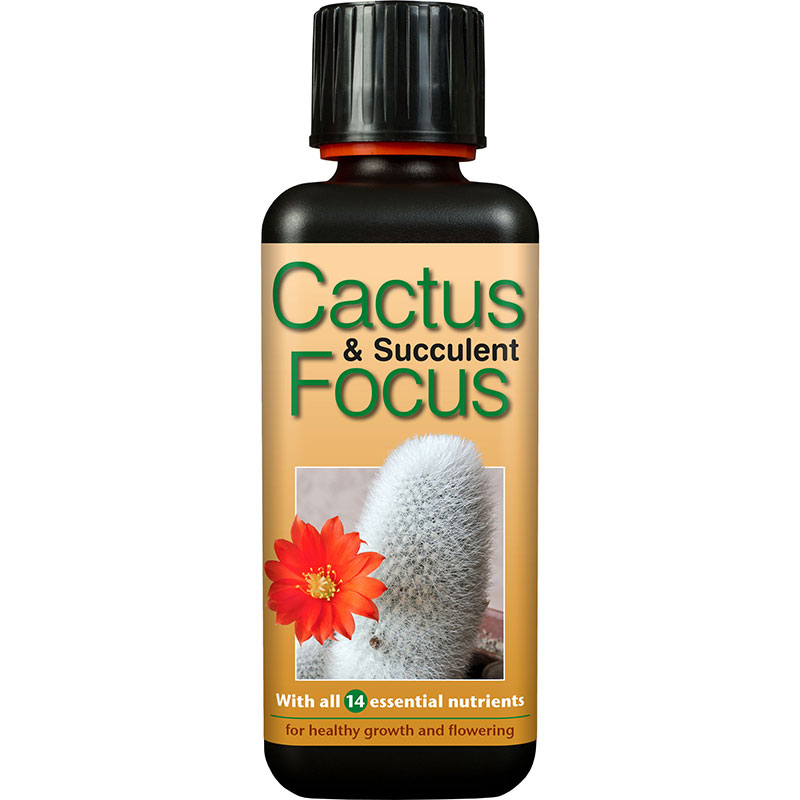 Kaktusnäring Cactus Focus 300ml
