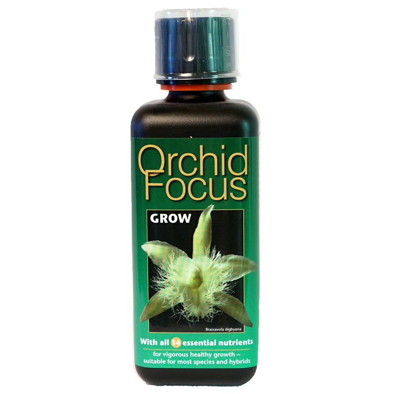 Orkidenäring Orchid Focus Grow 300 ml