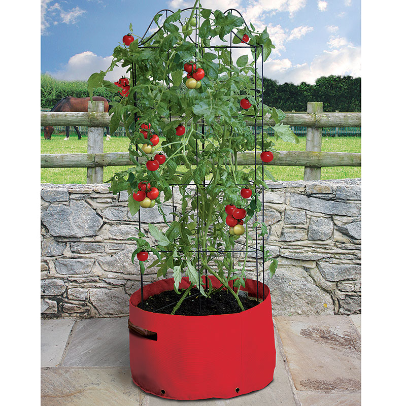 Odlingsäck för tomat med växtstöd