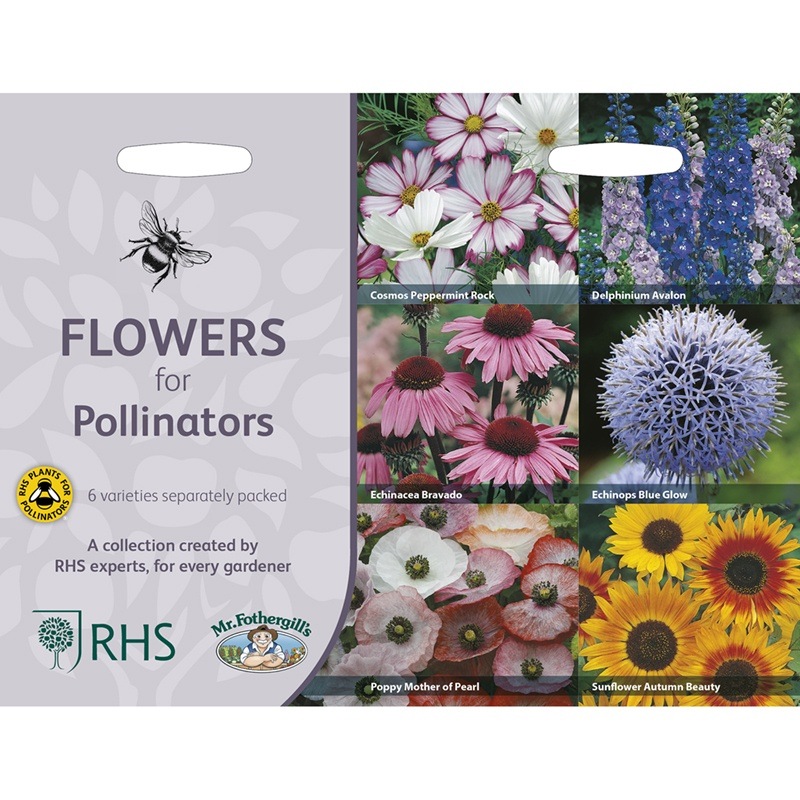Mr Fothergills Blommor för pollinatörer 6 sorter