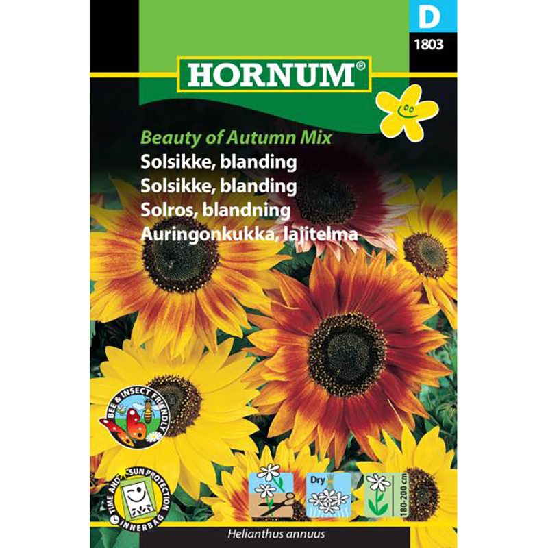 Hornum Solros ’Beauty of Autumn Mix’