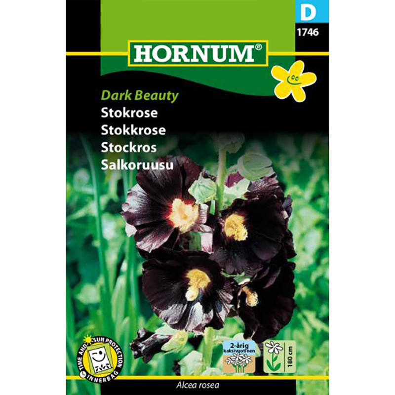 Hornum Stockros ’Dark Beauty’