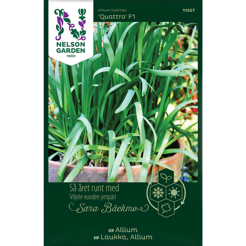 Nelson Garden Allium ’Quattro’ F1