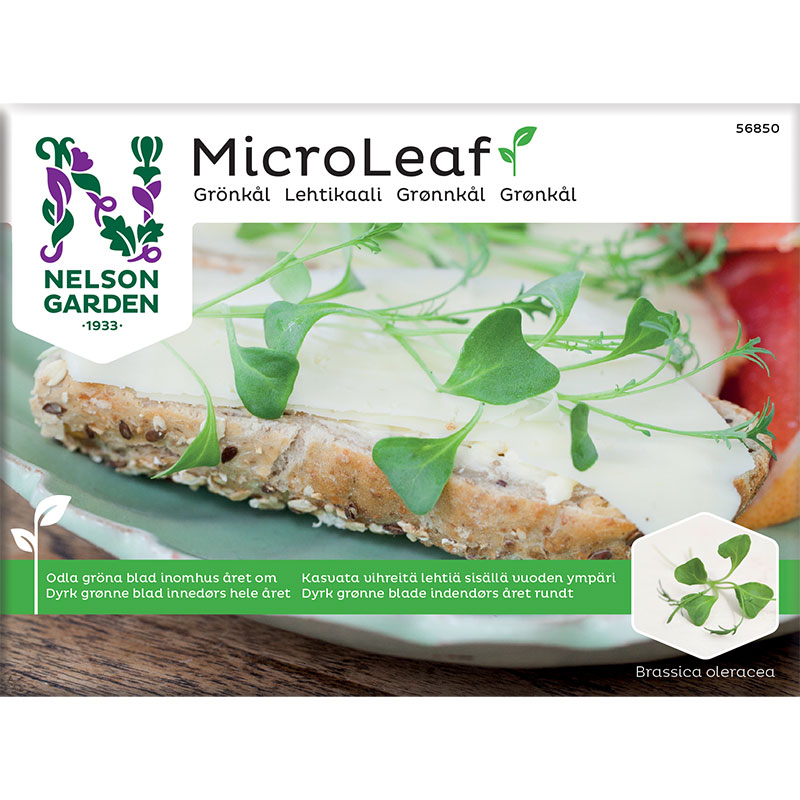 Nelson Garden Micro leaf Grönkål ’Jagallo Nero’
