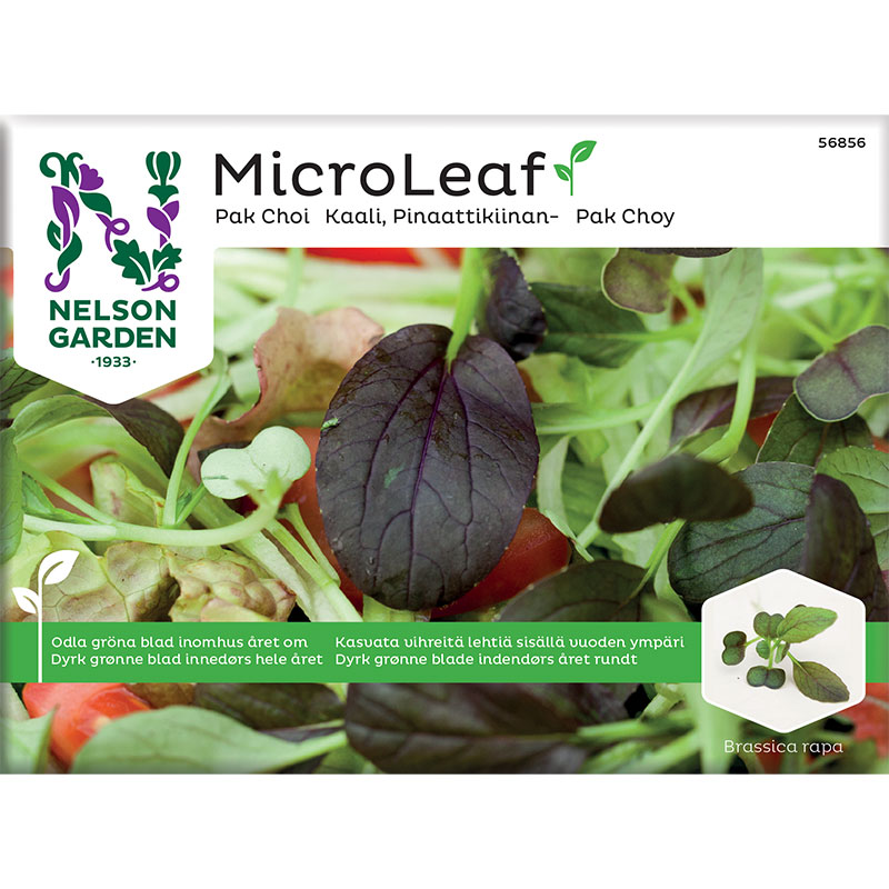 Nelson Garden Micro leaf Pak Choi ’Red Wizard’