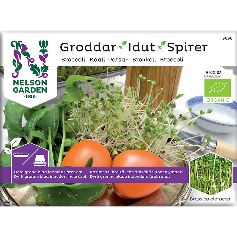 Nelson Garden Groddar Broccoli – Primo Vitamino