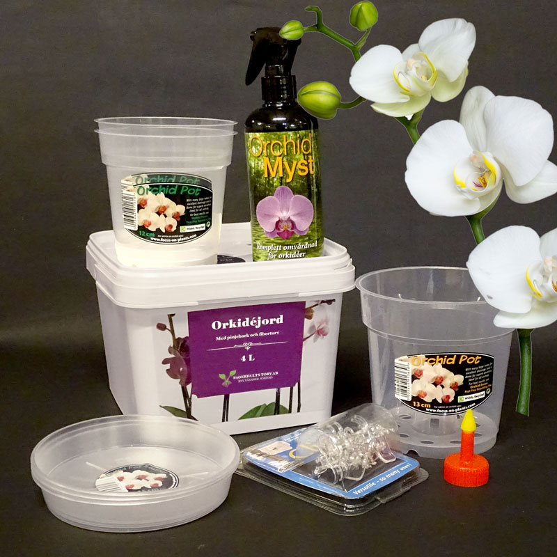 Wexthuset Omplanteringskit för orkidéer
